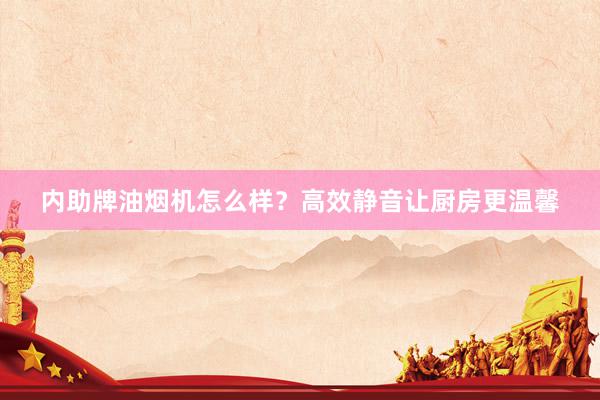 内助牌油烟机怎么样？高效静音让厨房更温馨
