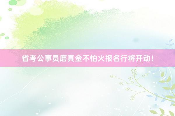 省考公事员磨真金不怕火报名行将开动！